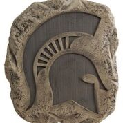 Michigan State Spartans Logo Stepping Stone