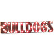 Mississippi State Bulldogs Recycled Metal Wall Decor Illuminated