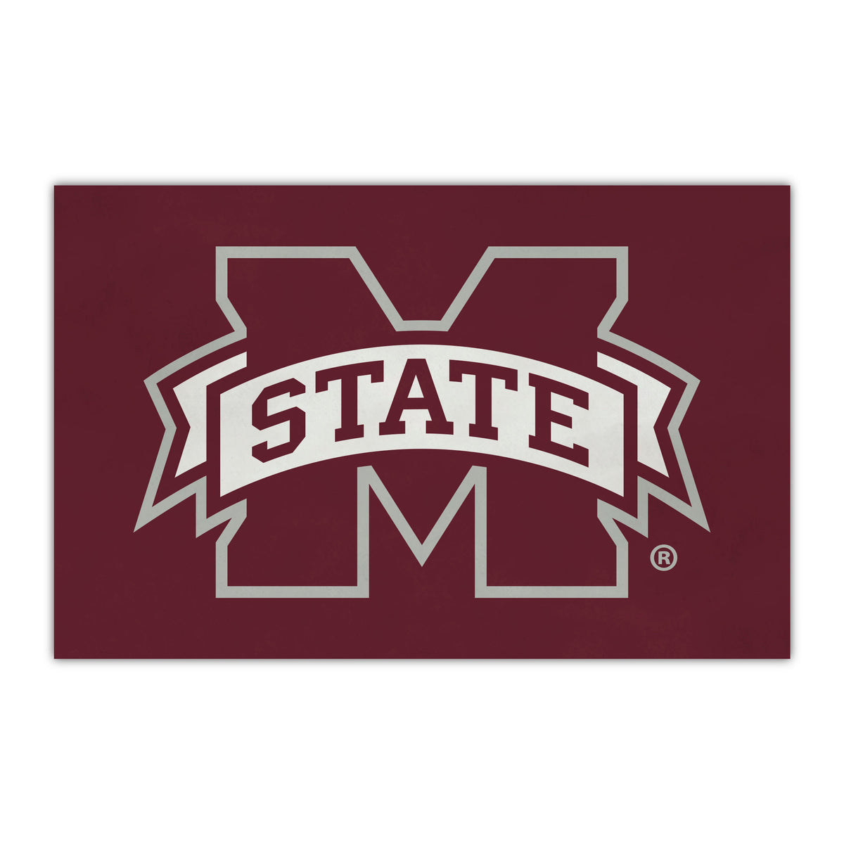 Mississippi State University HiDef Rookie