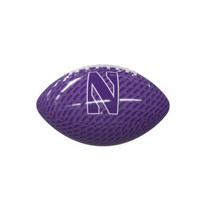Northwestern Carbon Fiber Mini Size Glossy Football - Logo Brands