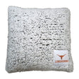 Texas Campus Colors Frosty Throw Pillow - Logo Brands