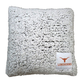 Texas Campus Colors Frosty Throw Pillow - Logo Brands