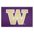 University of Washington Starter Mat