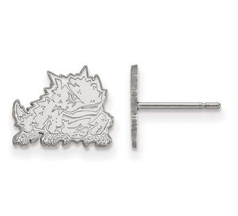 SC Gamecocks Sterling Silver Post Earrings