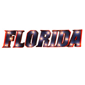 Florida Gators Recycled Metal Wall Decor Illuminated