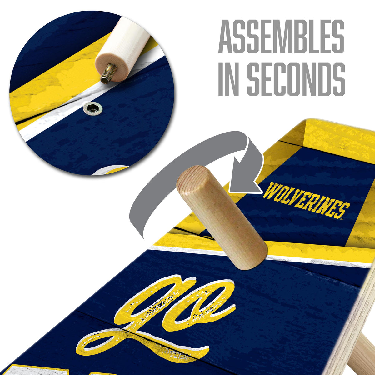 Michigan Wolverines Ring Bag Game